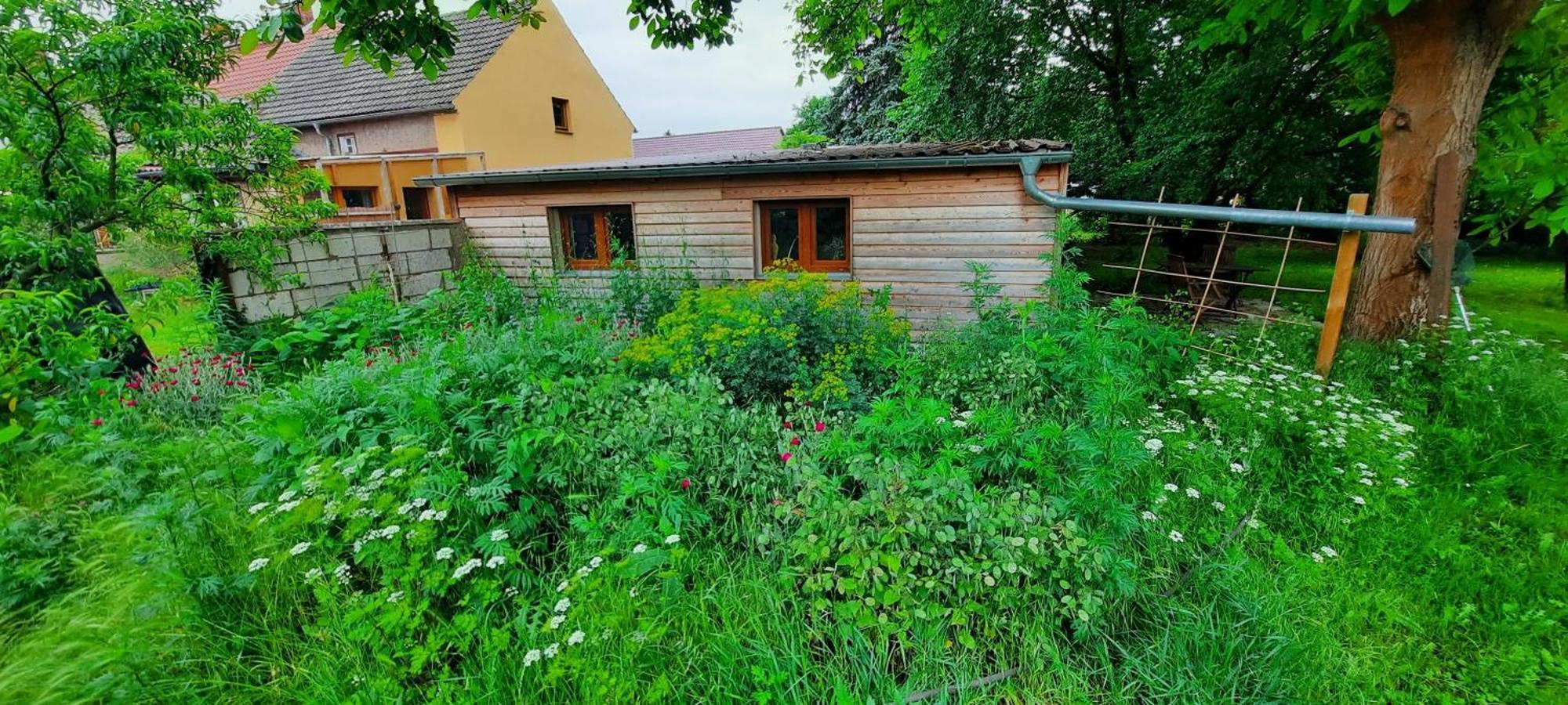 Ferienhaus Luna Villa Drahnsdorf Екстериор снимка